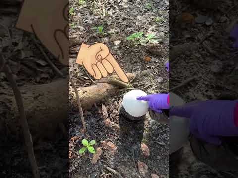 Rubber kaise banate hai #shorts