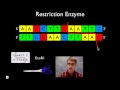 Exploring Key Techniques in Molecular Biology