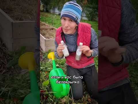 Готовим грядки к зиме! #дача #обзордачи #сад #огороднаподоконнике #садоводничество #огород #рецепт