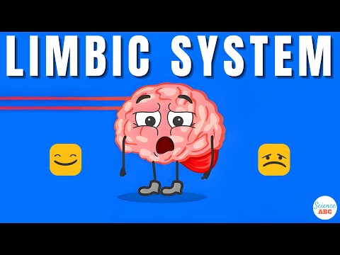 Emotions and the Brain: What is the limbic system?