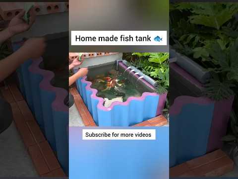 Home made fish tank