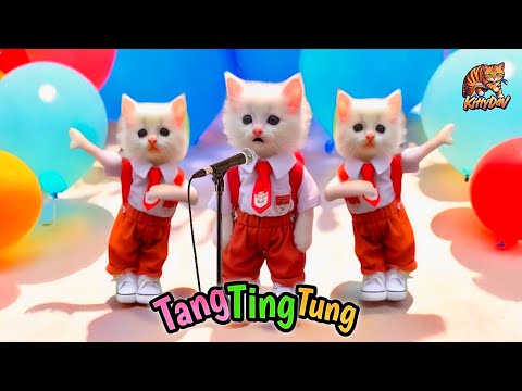 TANG TING TUNG VERSI DJ VIDEO KUCING LUCU BERSAMA TEMAN TEMAN KITTYDAV PART 2