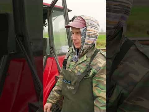 Затопленный по мосты МТЗ с двигателем Lombardini #МТЗ #трактор #двигатель