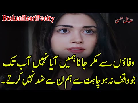 Wafaon Say Muqar Jana Hamein Aya Nahi Ab Tak | New 2 Line Urdu Poetry | Hindi Urdu Poetry