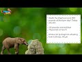 Zoo Problem Solving and Variables
