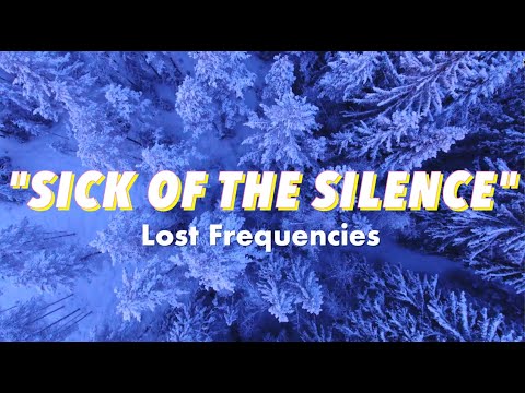 Lost frequencies - Sick of the Silence (new song lyrics)