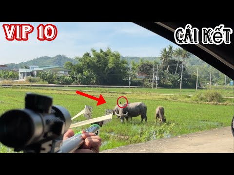 Cầm súng ná vip 10 đi săn bắn và cái kết