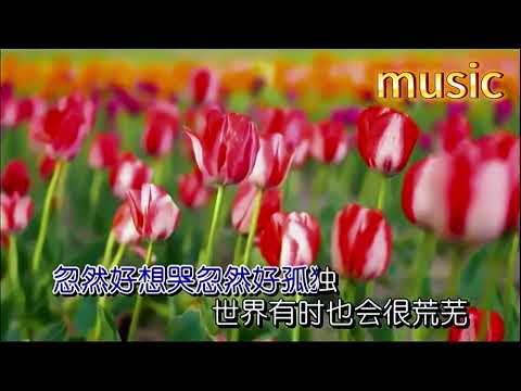 突然好想哭 正雲-KTV 伴奏 no vocal 無人聲 music 純音樂 karaoke 卡拉OK 伴唱 instrumental突然好想哭 正雲-