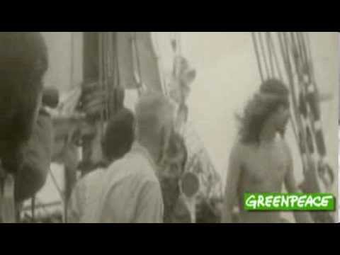 Greenpeace English de Teach In Letra y Video