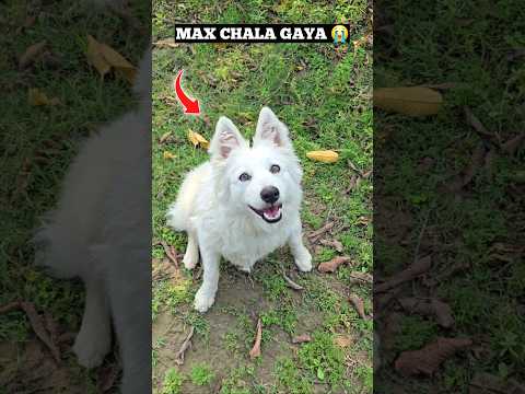 MAX Ko Ghar Se Nikala 😱