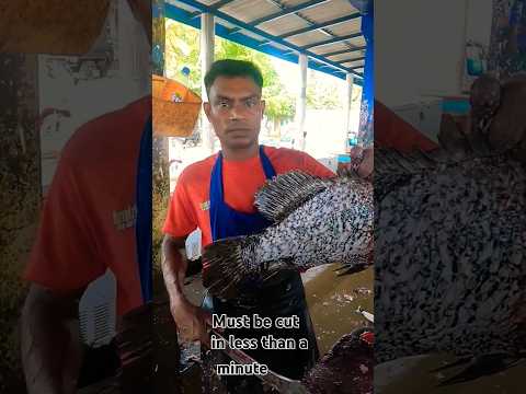 OMG😍🔥 One Minute Fish Cutting #fishcutting #fastestfishcutting #shorts