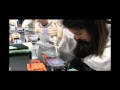 Forensic DNA Analysis Concepts