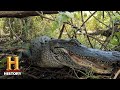 Gator Hunting with Troy Landry and Mr. Sterling