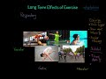 Long-Term Exercise Adaptations