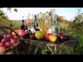 Biosphere Reserve Sustainability Concepts