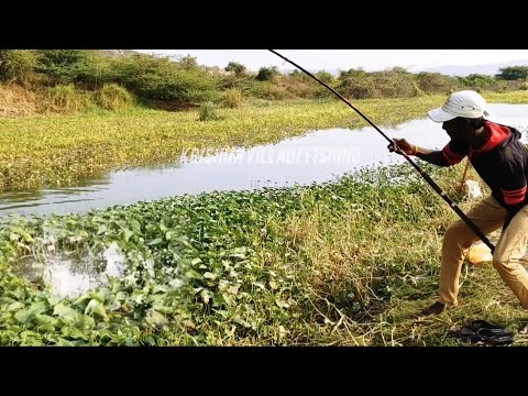 How To Catching in 🎣 BiG ROHU FISHING by SINGLE HOOK River FLOAT FISHING