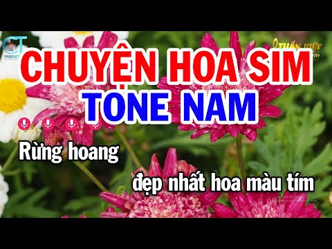 Karaoke Chuyện Hoa Sim Tone Nam ( Cm ) Nhạc Sống Mới | Karaoke Tuấn Kiệt