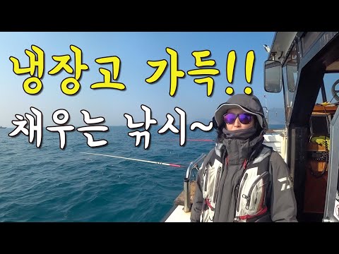 [다리tv] 최고급 생선으로!!! 냉장고 가득 채우는 낚시!!! 절대 꽝 없음!!!