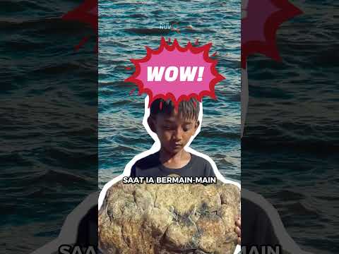 Dapat Muntahan Ikan Paus Ketika Main di Pantai #Shorts