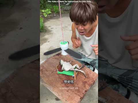 पंखे के बिना इसको 😡 ~mini wood toy -woodworking art skill/#shorts