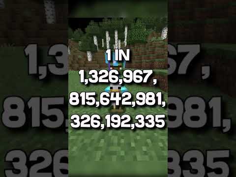 La cosa più RARA di Minecraft...