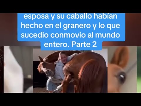 el hombre quedó en shock tras descubrir lo que su esposa y su caballo habían hecho en el granero