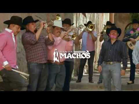 EL ARBOL - BANDA MACHOS