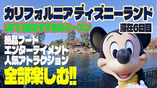 【6日目 完全版】 1年で1番おすすめのシーズンを全部堪能!! / カリフォルニア ディズニーランド・リゾート