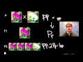 Understanding Mendelian Genetics
