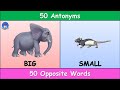 Antonyms and Opposites in Vocabulary