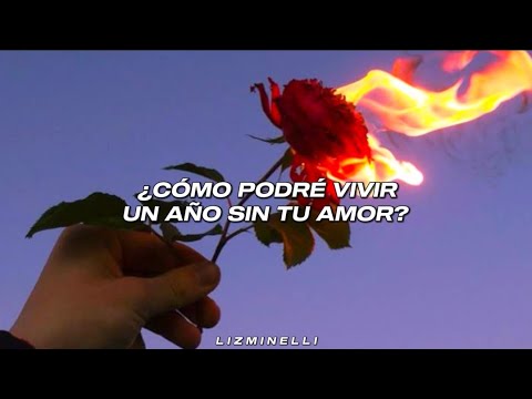 Vuelve, vida mía... 🥀💔 || Volveré - Interpuesto // Letra. ♡