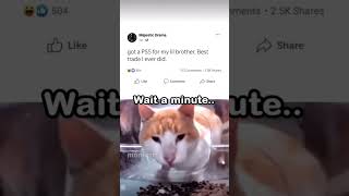 Wait a minute… #usethisaudio #fypシ゚viral #fyp #meme #cat #catmeme #blowup