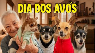 INVADIMOS A CASA DA BISAVÓ NO DIA DOS AVÓS PRA DEIXAR UM PRESENTE "CHEIROSO" PRA ELA!