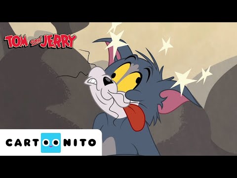 Toms toekomst verzameling | Tom & Jerry | Cartoonito