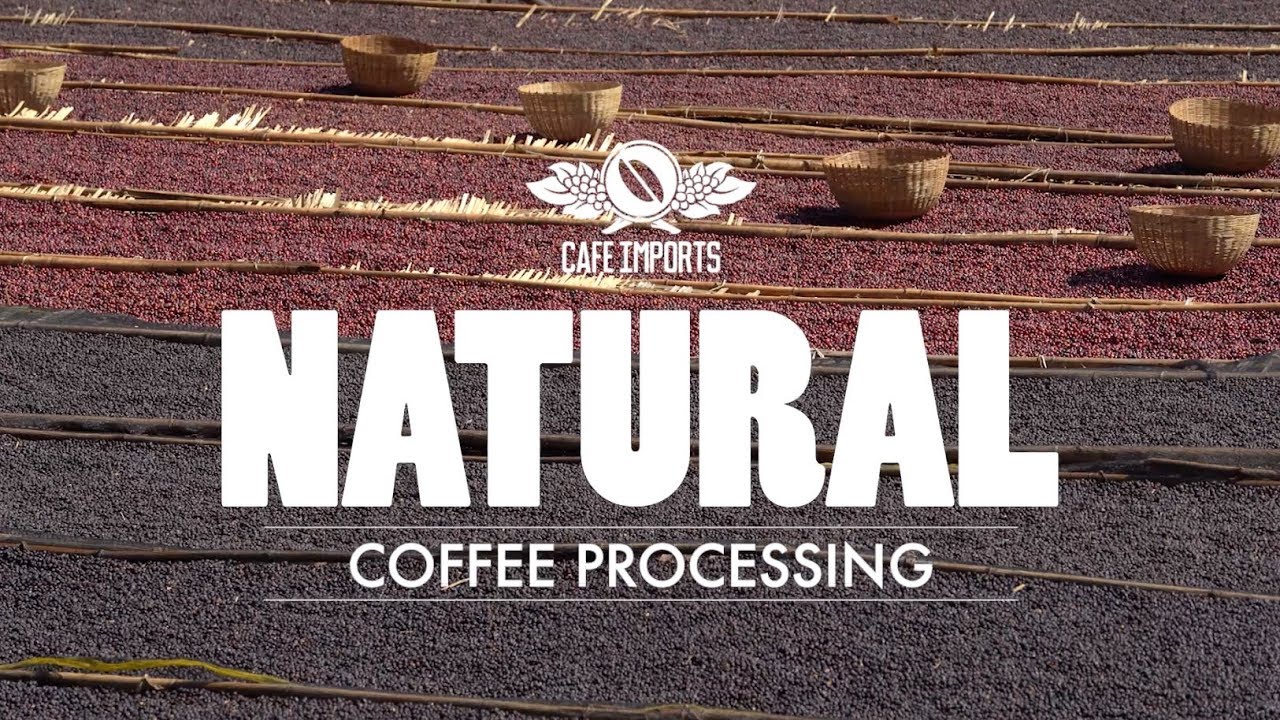 Natural Coffee Processing