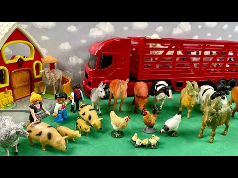 RED TRAILER TRANSPORTING MANY ANIMALS / CARRETA VERMELHA TRANSPORTANDO MUITOS ANIMAIS