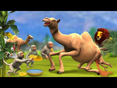 गर्भवती ऊँट का दुःख तीन मुर्ख बंदर और शेर Pregnant Camel Baby 3 Little Monkeys And Lion Attack Story