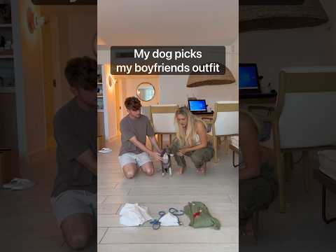 my DOG picked my boyfriends outfit..