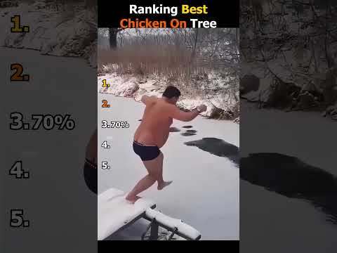 Ranking Best Chicken ON Tree