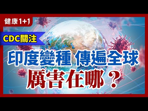 CDC：印度變種 躍升全球主要 變種 各地憂新一波 疫情 ？| 健康1+1