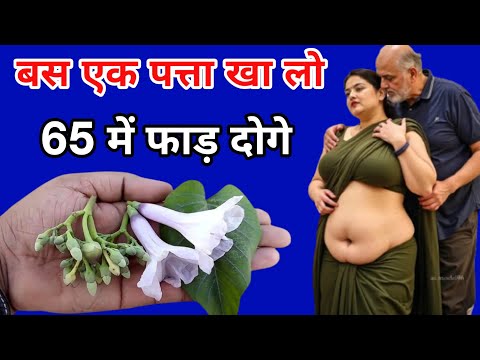 बहुत ही लाभदायक पौधा है ये आपके लिए अमृत से कम नहीं | Plant Benifit | Vastu Shastra बागेश्वर धाम जी