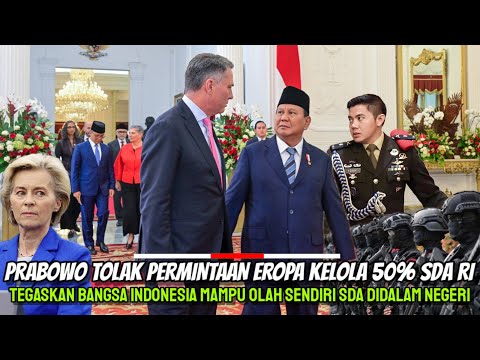 Prabowo TOLAK Permintaan Eropa Bantu Kelola 50% Hilirisasi SDA RI! Tegaskan RI Mampu Kelola Sendiri!