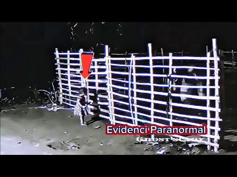 Top 3 Videos de Terror Extremo 😱