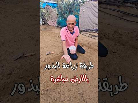 طريقة زراعة بذور النباتات في الأرض #gaza #غزة #plants #نباتات