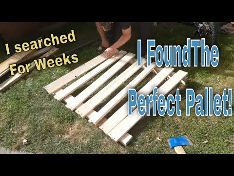 My Best Pallet Project Yet! Part 1