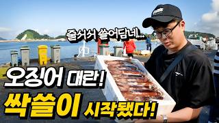 지금 안 가면 손해! 사람들이 전국에서 몰려오는 오징어 초토화 현장에 다녀왔습니다