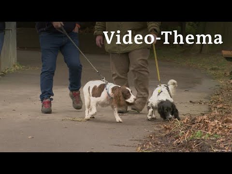 Deutsch lernen mit Videos | Frome – hier wird niemand allein gelassen | mit deutschen Untertiteln