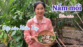 Sáng Ra Nhổ Được 1 Ít Nấm Mối Vô Nấu Canh Rau Mà Nó Ngọt Giòn Khỏi Chê - Em Gái Quê