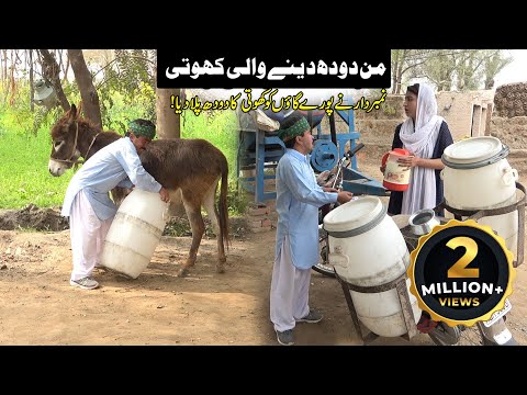 Doodh Khoti Wala | Number Daar | Rocket | Preeto | New Top Funny | Punjabi Comedy Video | Chal TV
