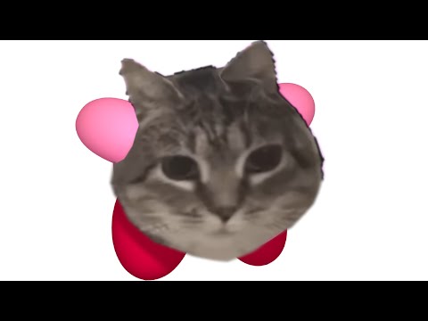星のチャーピィ（Oiia cat）